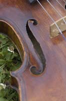 Enar_2004-07-07_0017